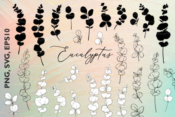 Download Eucalyptus SVG, Eucalyptus Silhouette - Premium Resources